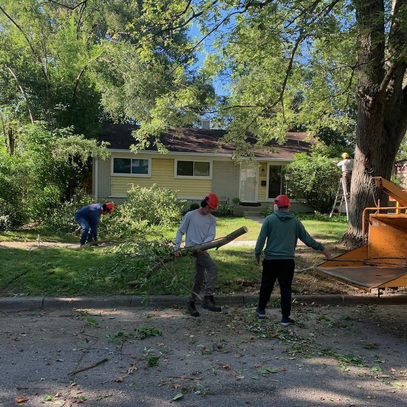 Foundations Tree Experts crew clearing branches at a residential job site