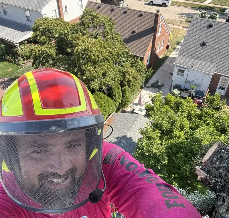 David Paga, founder of Foundations Tree Experts, up in a tree on a job site