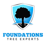 Foundations Tree Experts